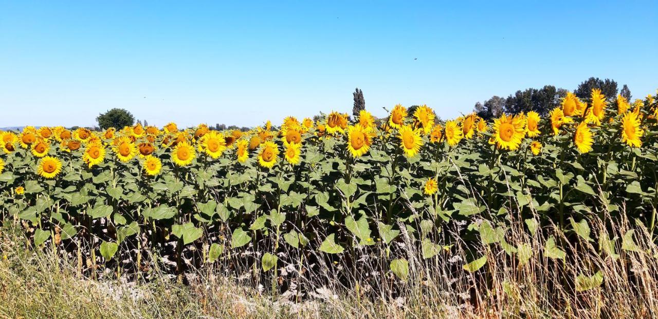 L'Instant Provence Villa Valréas Екстериор снимка